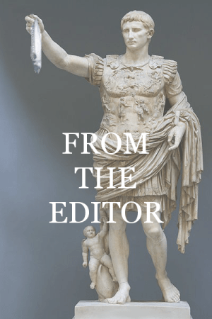 IF from the editor